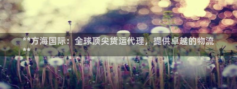 尊龙d88官网登录：**方海国际：全球顶尖货运代理，提供