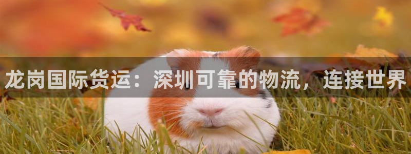 尊龙ag旗舰厅官网登录：龙岗国际货运：深圳可靠的物流，连