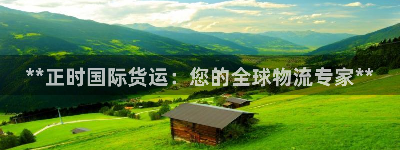 尊龙集团有限公司招聘：**正时国际货运：您的全球物流专家