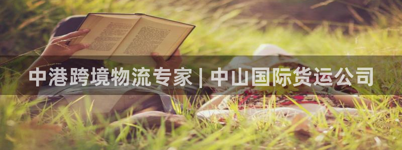 尊龙人生就是博官：中港跨境物流专家 | 中山国际货运公司