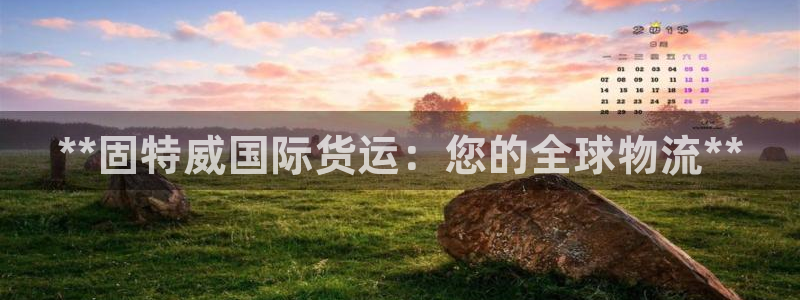 z6尊龙凯时旗舰厅：**固特威国际货运：您的全球物流**