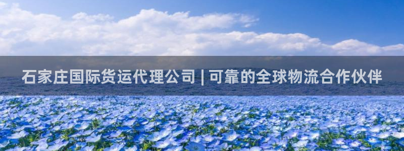 尊龙凯时平台信誉怎样：石家庄国际货运代理公司 | 可靠的