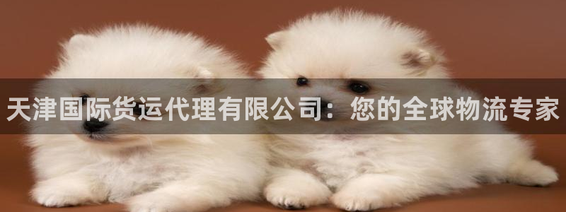 尊龙人生就是-首页(中国)有限公司