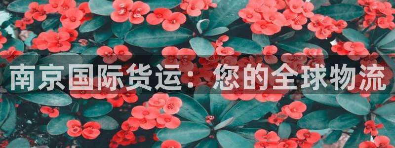 尊龙凯时官方网页：南京国际货运：您的全球物流