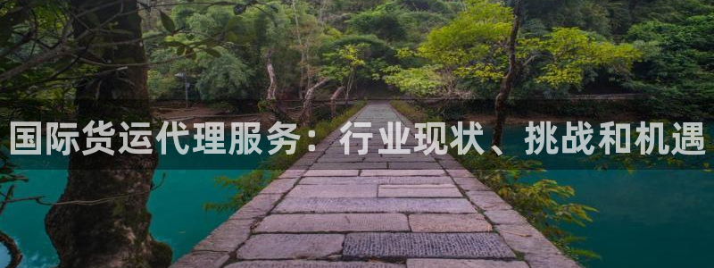 尊龙人生就是博d88官方网站：国际货运代理服务：行业现状