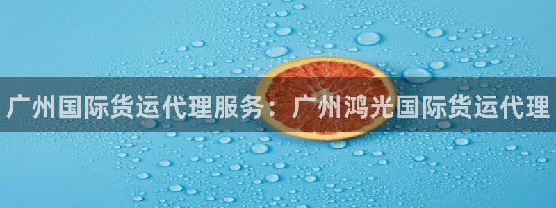 ag旗舰平台尊龙代言：广州国际货运代理服务：广州鸿光国际