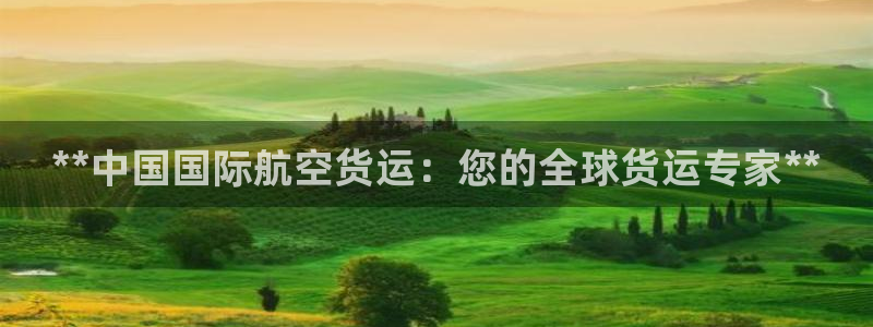 尊龙 中国：**中国国际航空货运：您的全球货运专家**