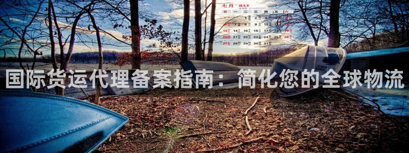 尊龙人生就是博菲律宾台子：国际货运代理备案指南：简化您的