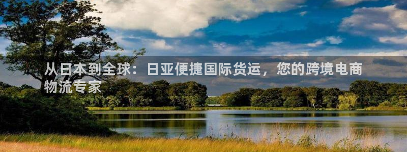 尊龙凯时企业文化：从日本到全球：日亚便捷国际货运，您的跨