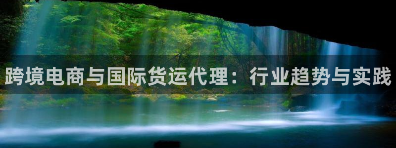 尊龙百度百科：跨境电商与国际货运代理：行业趋势与实践