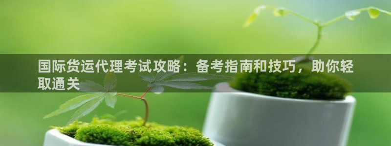 尊龙凯时提款冻卡吗：国际货运代理考试攻略：备考指南和技巧