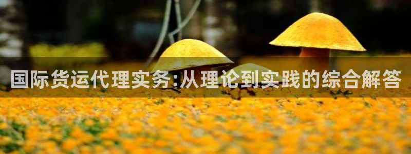 尊龙凯时可以提现吗：国际货运代理实务:从理论到实践的综合