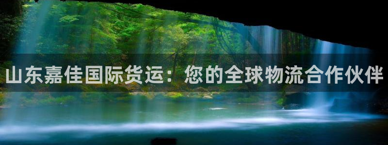 尊龙最新版：山东嘉佳国际货运：您的全球物流合作伙伴