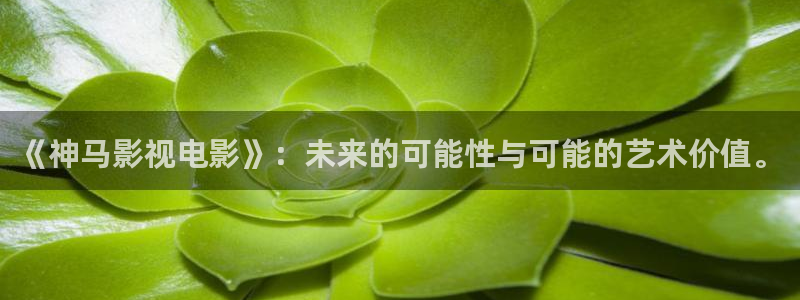 米奇影院在线777