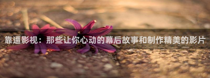 米奇影视444