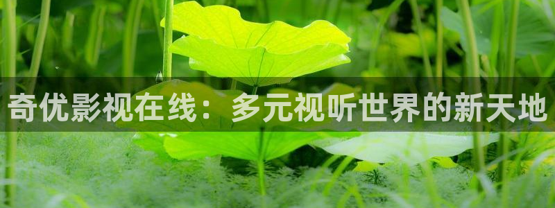 米奇影视电影在线看免费网